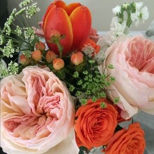 Meet your Posher, Amy